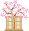 blossom cherry