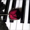 rose on piano