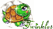 Turtle with Glitter and Name 