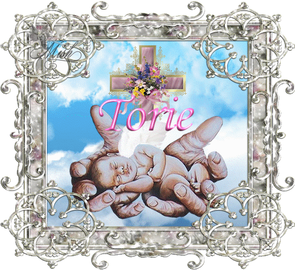 torie baby angel