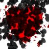 red splated heart and black rose petals