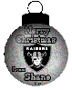 Merry Christmas From Shane