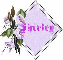 Shirley - Purple Bell