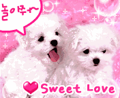 sweet puppy love