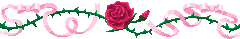 red rose w/ ribbon