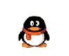 shy penguin boy