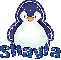 Shayla Penguin