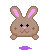 choco bunny