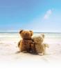 Teddy Bears on the Beach
