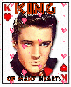 Elvis King of many hearts