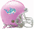 Dolphin Helmet with Glitter and Name