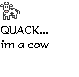 Quack...I'm a cow