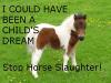 STOP HORSE SLAUGHTER!