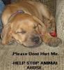 Help Stop Animal Abusing...