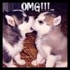 OMG!!!...puppies!!!